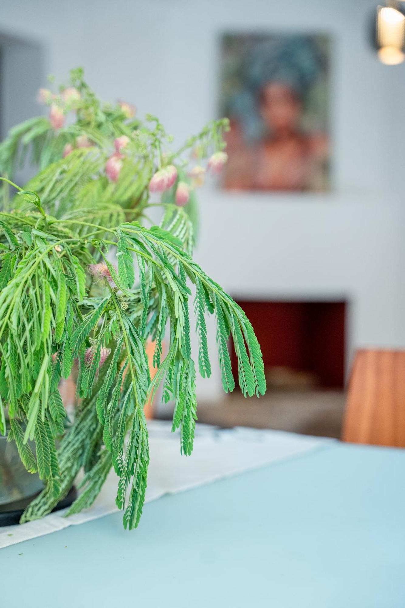 Apartament Otium Living Wolos Zewnętrze zdjęcie
